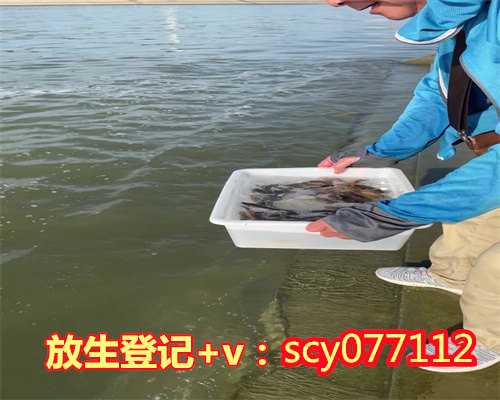 放生红鲤鱼惠州，惠州适合放生动物【惠州适合放生乌龟的地方】