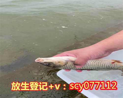 成都鳝鱼去哪里放生，成都彭州龙兴寺藏石刻的保护修复