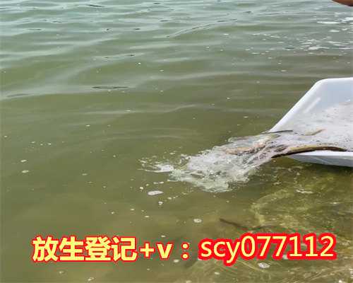 阳江放生龟有哪些，阳江放生矿泉水，阳江家养仓鼠可以放生吗