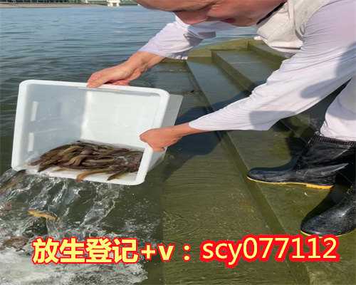 哈尔滨龙虾放生，哈尔滨哪个公园能放生蚯蚓啊，哈尔滨九月初九放生法会怎么