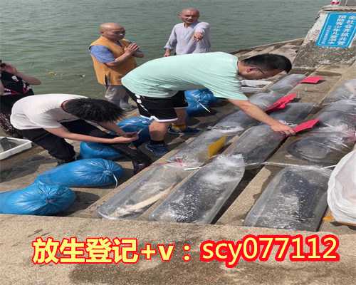 放生长寿龟视频，男子长江边钓起24斤鳄龟专家：勿乱放生