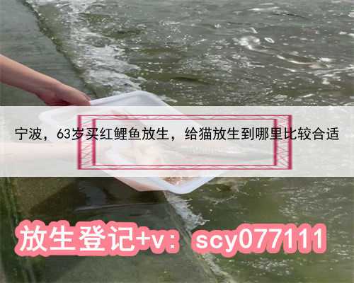 宁波63岁买红鲤鱼放生，给猫放生到哪里比较合适